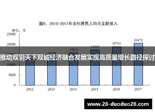 推动双羽天下双城经济融合发展实现高质量增长路径探讨