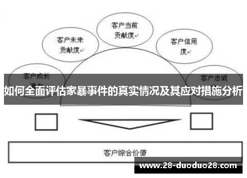 如何全面评估家暴事件的真实情况及其应对措施分析