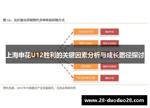 上海申花U12胜利的关键因素分析与成长路径探讨